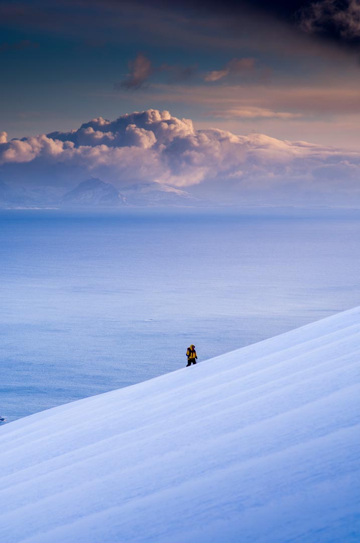 Lone skier in Lofoten.